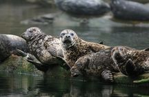 Vancouver City and Nature Waterfront Sightseeing Boat Tour 