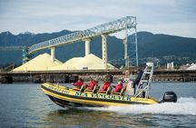 Vancouver Waterfront Sightseeing Zodiac Tour - City and Nature 