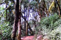  Kilimanjaro Private 2 Days Hiking Tour