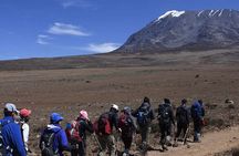 Mount Kilimanjaro 5 Days Marangu route (Oldest, easiest and well established )