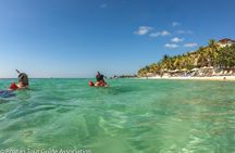 Guided Snorkeling Adventure in West Bay