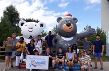 5-Day Korea Golden route by K-shuttle Tour from Seoul Including Busan, Yeosu