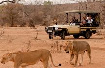 3 Day Kruger National Park Safari from Johannesburg Tour