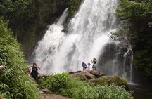Doi Inthanon National park and 2 hours hiking with private tour