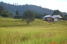 Doi Inthanon National park and 2 hours hiking with private tour
