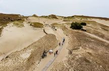 Private Tour: Curonian spit (Neringa) from Klaipeda