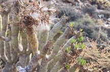 Wild coast nature experience and legends