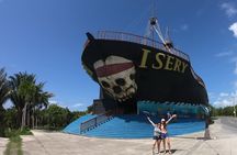 East End Tour (Mangroves, Punta Gorda, Port Royal) with Snorkeling Option