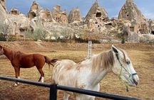 Cappadocia Horseback Riding Tour (Transfer Included)