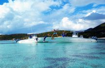 Local Legend Boat Charters