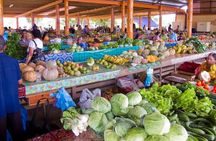 Half Day Nadi Tour incls Sri Siva Temple, Orchid Gardens,Local Village & Markets