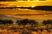 Exclusive Mount Nebo Mosaics and Dead Sea Private Tour