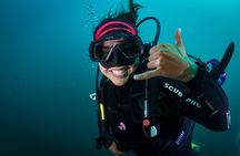 2 Dives in the Cabo Marine Park