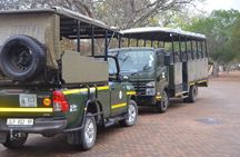 Exhilarating 7 Day Kruger Safari Adventure - South to North