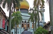 Singapore Private Full-Day Sightseeing Tour