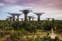 Private Cultural Discovery Tour of Historic Singapore
