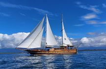 Cruising on a 100' Wooden Sail Ship in Province of Puntarenas