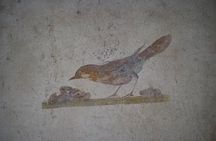 Tour in the roman villas of Stabiae with an archaeologist.