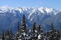 Hurricane Ridge Guided Snowshoe Tour in Olympic National Park