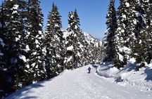 Hurricane Ridge Guided Snowshoe Tour in Olympic National Park