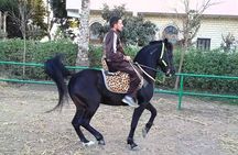 Horse Riding adventure and Two Hours Relaxation Turkish bath - Hurghada