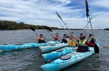 Dolphin Sanctuary Kayak Tour Adelaide