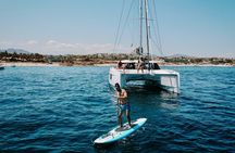 Snorkel and Whale Platinum Tour (Dec 15- Apr 15)
