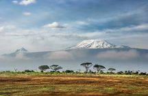 7-Day Kilimanjaro Small-Group Trekking via Machame Route