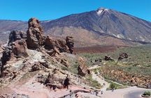 Small Group Teide National Park Volcanic and Forest Wonders