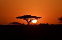 4 days adventure camping safari