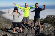 Cape Town: India Venster Half-Day Hike on Table Mountain