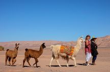 3-Day Exploring San Pedro de Atacama