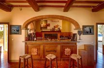 Tour Tasting & platter at an Organic Winery - Panzano in Chianti