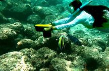 Sensational Sea Scooter Rentals