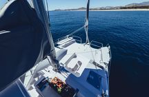 Luxury Sailing Whale Watch and The Arch (Dec 15 - Apr 15)