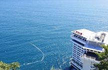 Atami Half-Day Private Tour with Government-Licensed Guide