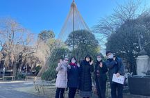 Yanaka and Asakusa Walk around DOWNTOWN TOKYO like a local