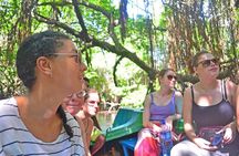 Bentota Village Tour with River Safari & Tea Plantation/Factory - All Inclusive