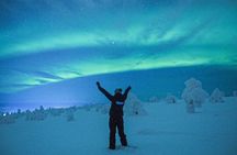 Aurora Hunt for 3 Hours in Saariselkä