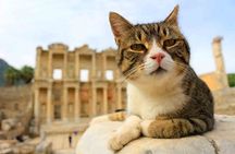 Full-Day PRIVATE TOUR to Explore Ephesus from PORT