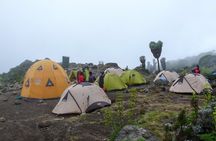 Hiking Mt Kilimanjaro 7 days scenic route & moderate challenge