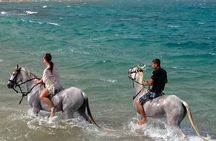 Hurghada: Sea & Desert Horseback Riding, Stargazing, Dinner, Show