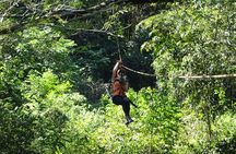 Costa Rica Monkey Jungle Zipline from Tamarindo