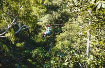 Small-Group Zipline Canopy Tour with Wildlife & Pickup -Tamarindo