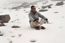 Chimborazo Volcano and Condor Cocha Lagoon Day Tour