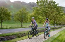 Cape Winery Cycle Tour - 6 wineries, self-guided