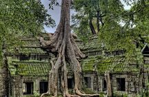 Angkor Wat, Angkor Thom & Elephant Terrace Half-Day Tours