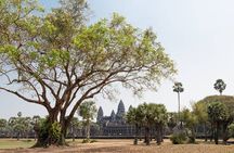Angkor Wat, Angkor Thom & Elephant Terrace Half-Day Tours