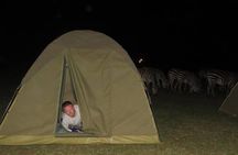 4 days adventure camping safari