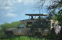 6 days Tanzania budget safari